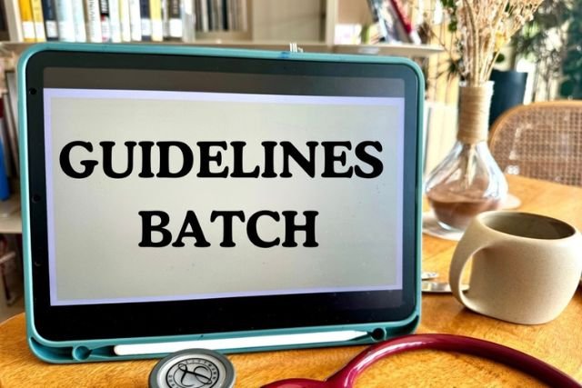 Guidelines Batch